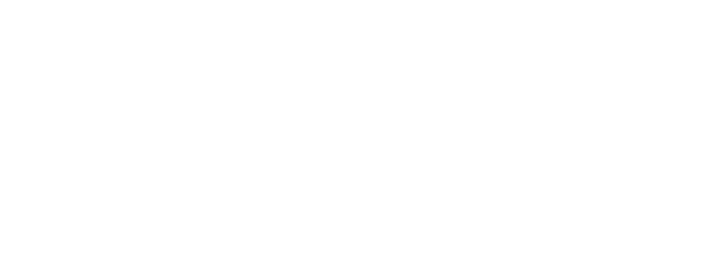 Sontect